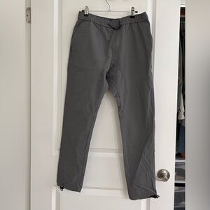 Zanerobe jogger style pants